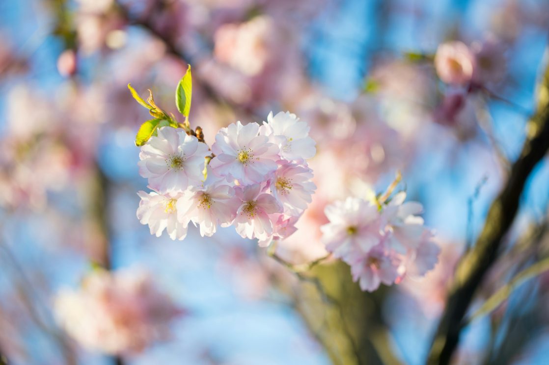 conversations about care during springtime